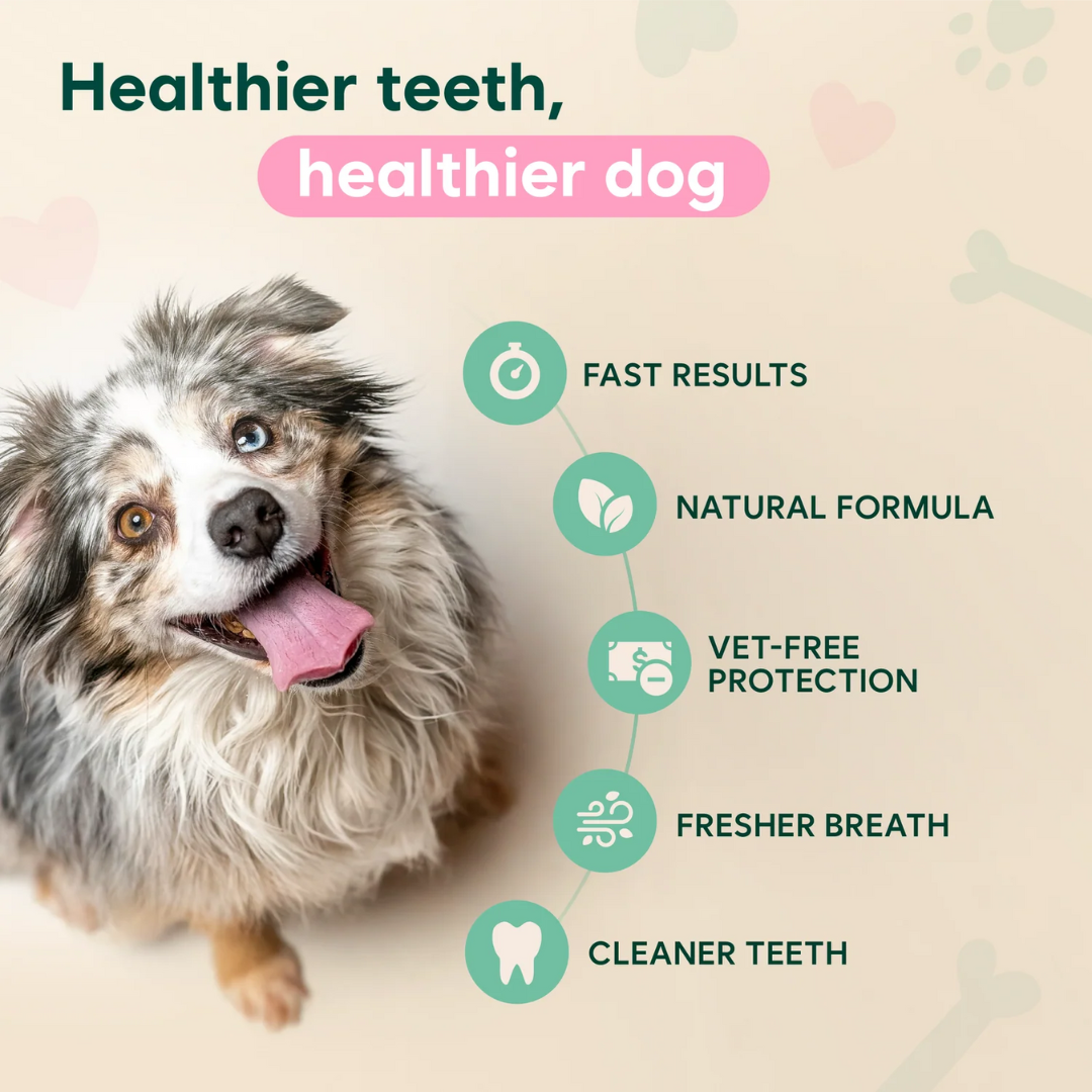 Advanced Dental Spray Against Bacteria