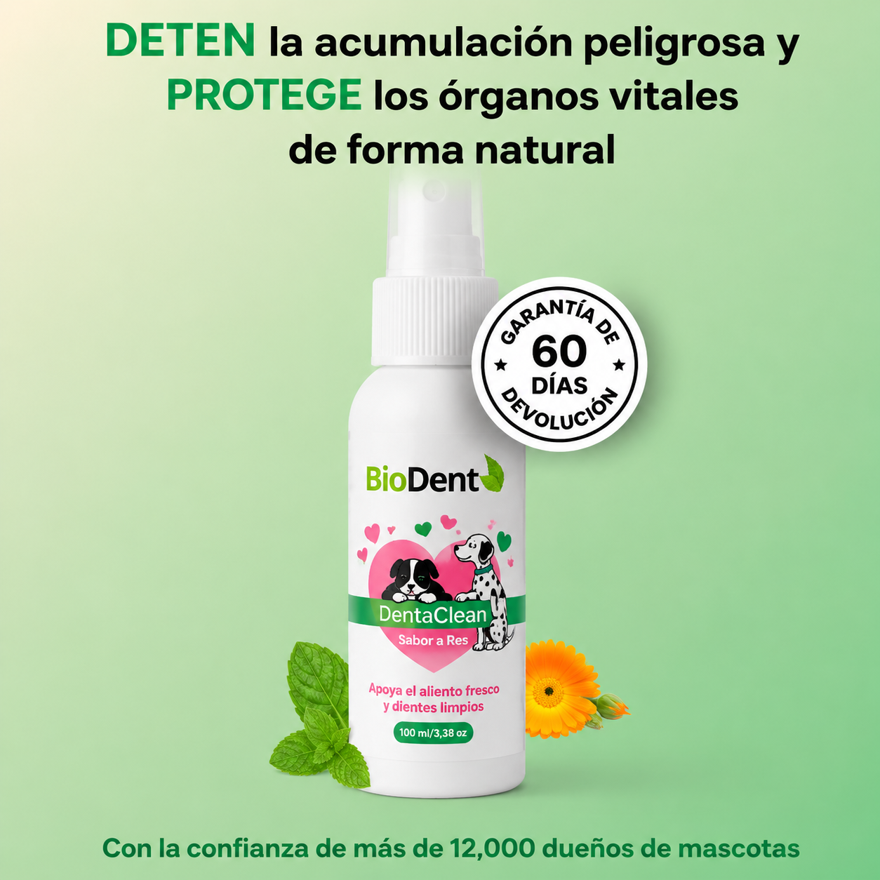 Advanced Dental Spray Against Bacteria