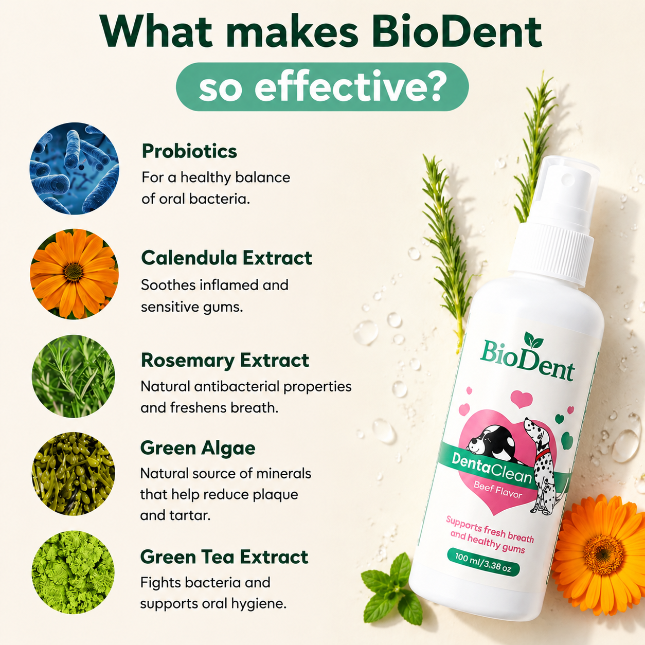 Advanced Dental Spray Against Bacteria