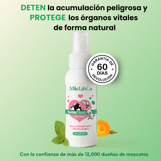 Advanced Dental Spray Against Bacteria